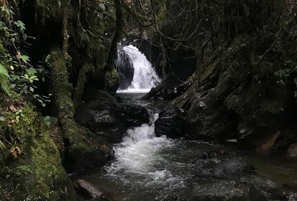 Cascada del Duende - Papallacta