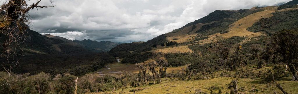 Páramo - Finca Arcoiris - papallacta